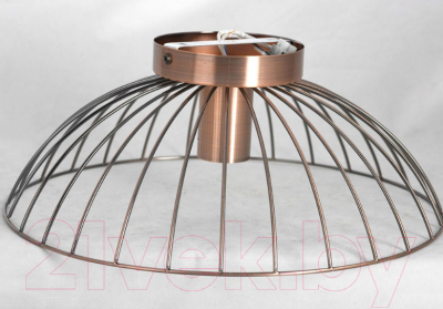 Потолочный светильник Lussole LSP-8249