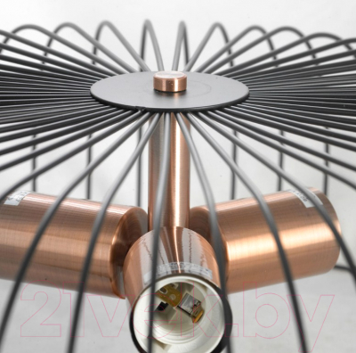 Люстра Lussole LSP-8250