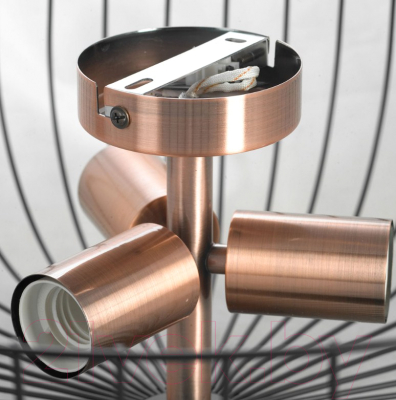 Люстра Lussole LSP-8250