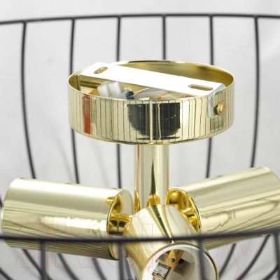 Люстра Lussole LSP-8251