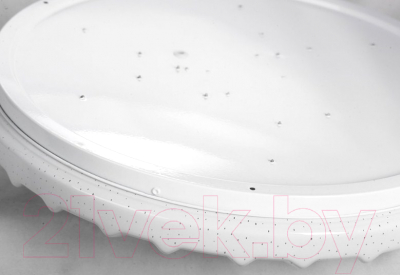 Потолочный светильник Lussole LSP-8318