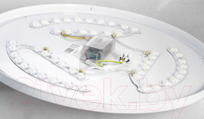 Потолочный светильник Lussole LSP-8319
