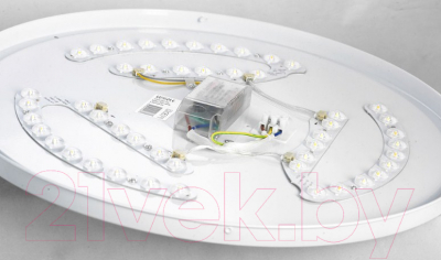 Потолочный светильник Lussole LSP-8321
