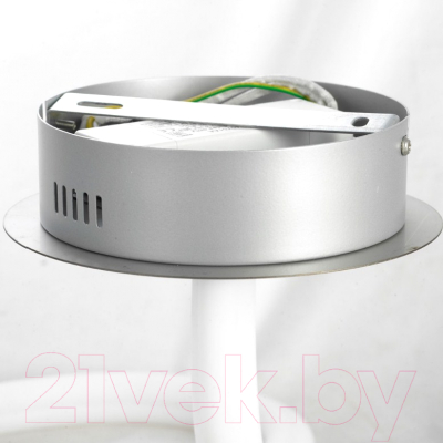 Потолочный светильник Lussole LSP-8344