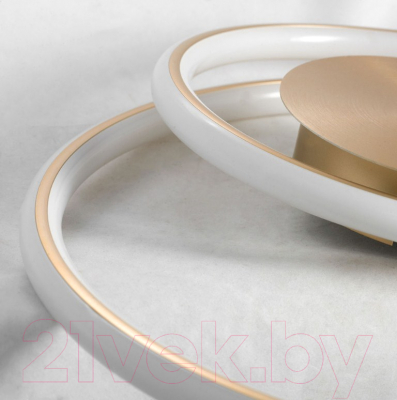 Потолочный светильник Lussole LSP-8346