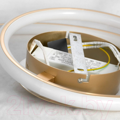 Потолочный светильник Lussole LSP-8346