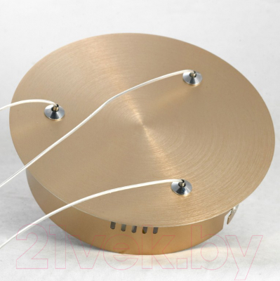 Потолочный светильник Lussole LSP-8348