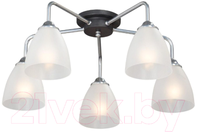 Люстра Vitaluce V4500-9/5PL - фото