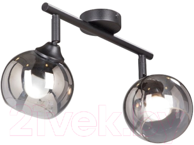 Потолочный светильник Vitaluce V4313-1/2PL - фото