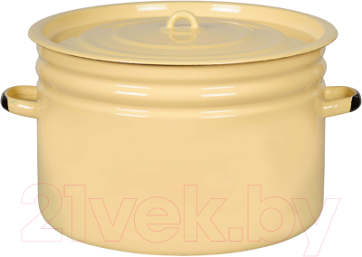 Кастрюля СтальЭмаль 2с31 (18л) - фото