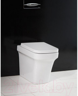 Сиденье для унитаза BelBagno BB118SC