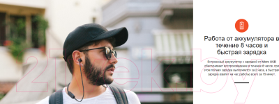 Беспроводные наушники JBL Tune 115BT / T115BTGRY