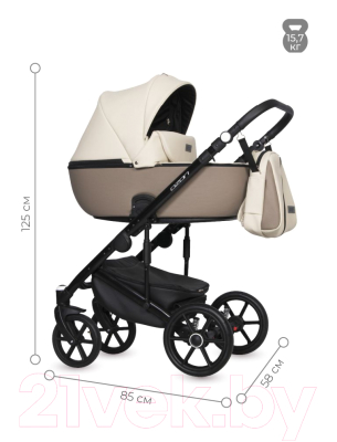 Детская универсальная коляска Riko Ozon Ecco 2 в 1