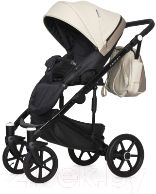 Детская универсальная коляска Riko Ozon Ecco 2 в 1