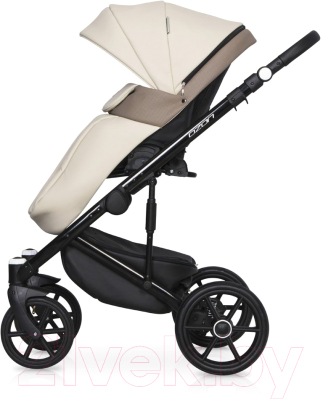 Детская универсальная коляска Riko Ozon Ecco 2 в 1