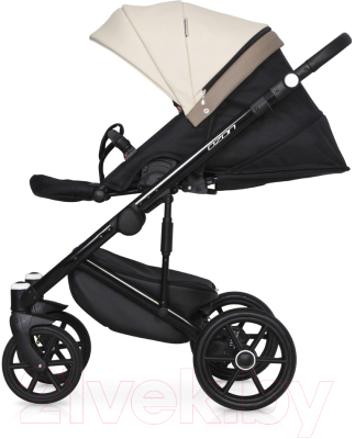 Детская универсальная коляска Riko Ozon Ecco 2 в 1