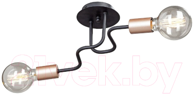 Потолочный светильник Vitaluce V4560-1/2PL - фото