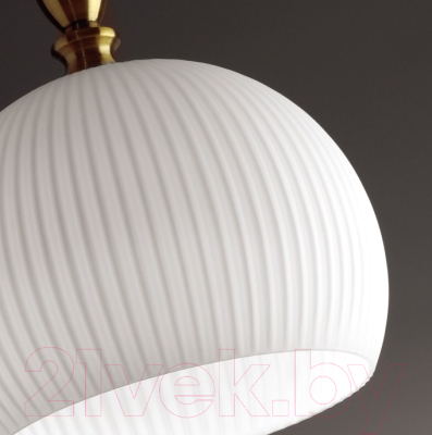 Потолочный светильник Odeon Light Runga 4766/1