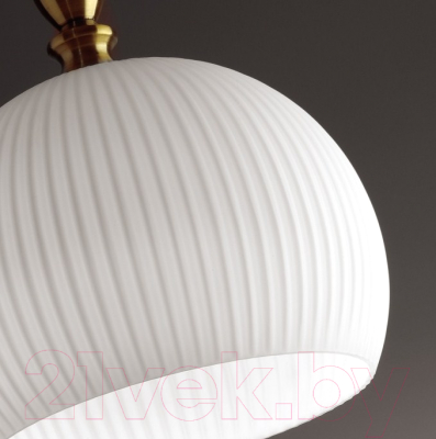 Потолочный светильник Odeon Light Runga 4765/1