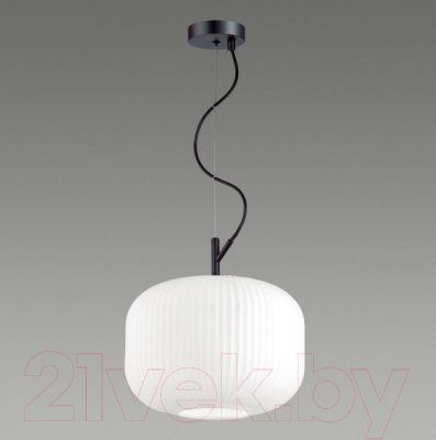 Потолочный светильник Odeon Light Roofi 4754/1