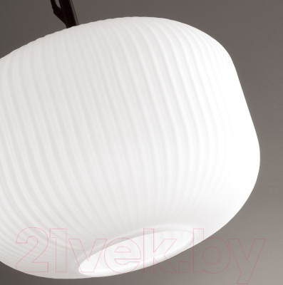 Потолочный светильник Odeon Light Roofi 4754/1