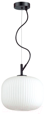 Потолочный светильник Odeon Light Roofi 4753/1 - фото