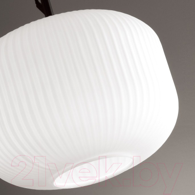 Потолочный светильник Odeon Light Roofi 4753/1