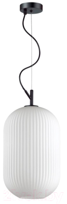 Потолочный светильник Odeon Light Roofi 4752/1 - фото