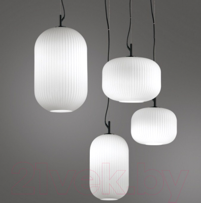 Потолочный светильник Odeon Light Roofi 4752/1