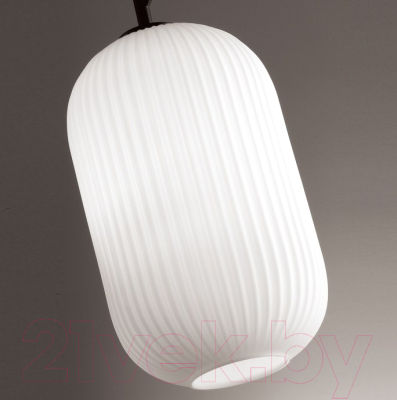 Потолочный светильник Odeon Light Roofi 4752/1