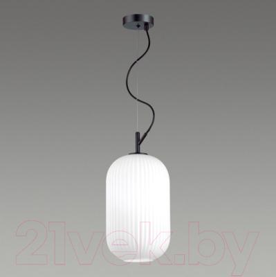 Потолочный светильник Odeon Light Roofi 4751/1