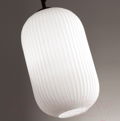 Потолочный светильник Odeon Light Roofi 4751/1