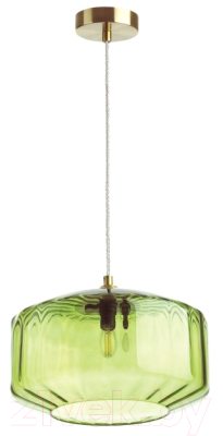 Потолочный светильник Odeon Light Binga 4783/1 - фото