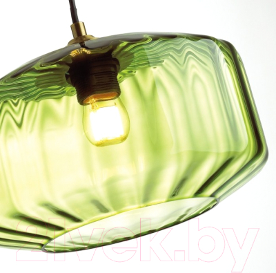 Потолочный светильник Odeon Light Binga 4783/1