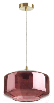 Потолочный светильник Odeon Light Binga 4782/1 - фото