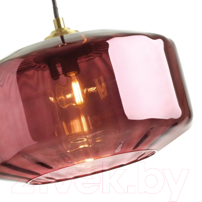 Потолочный светильник Odeon Light Binga 4782/1