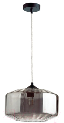 Потолочный светильник Odeon Light Binga 4746/1 - фото