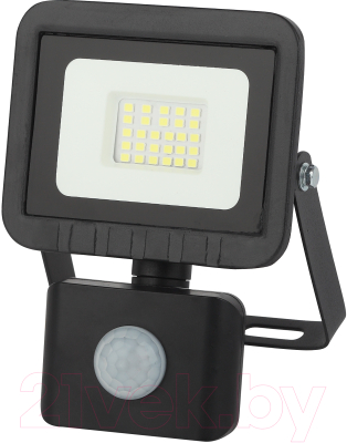 Прожектор ЭРА Eco LPR-041-2-65K-020 / Б0043585 - фото