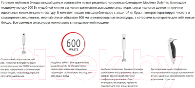 Блендер погружной Moulinex DD533132