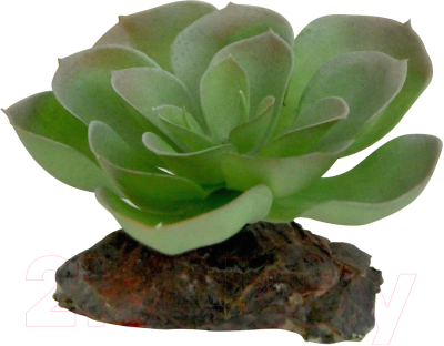 Декорация для террариума Lucky Reptile Echeveria / IF-83 - фото