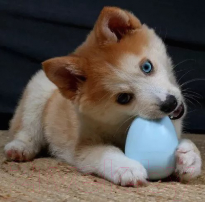 Игрушка для собак Petit Tumble Toy Balu / 309/449448