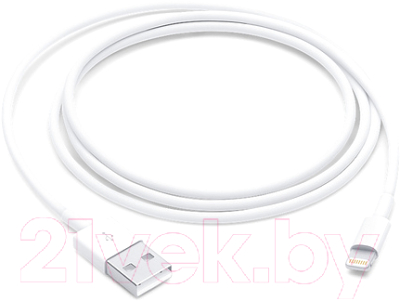 Кабель/переходник Apple USB 2.0 Type-A - Lightning MXLY2 - фото