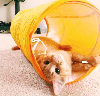 Туннель для животных Rosewood Тоннель игровой / 11578/RW