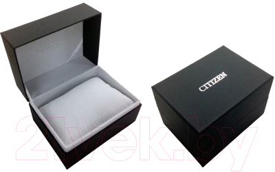 Часы наручные мужские Citizen BH5000-59A