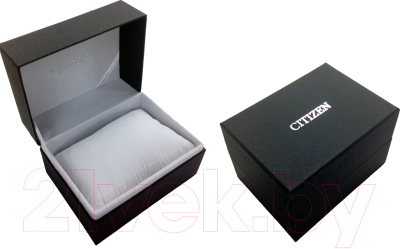 Часы наручные женские Citizen EQ9065-50E