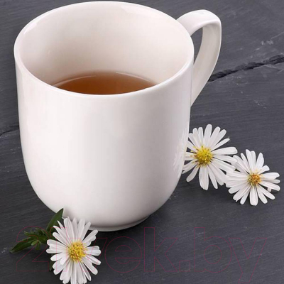 Кружка Wilmax WL-993015/А