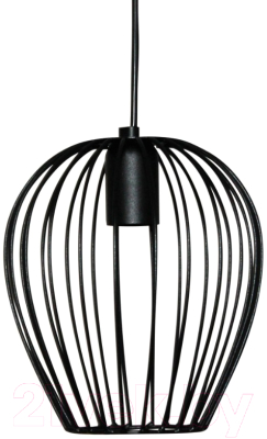 Потолочный светильник Элетех Шалот 211 НСБ 01-60-147 / 1005404313 (черный)