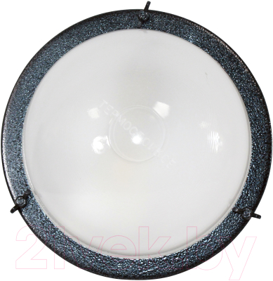 Светильник ЖКХ Элетех Терма-3 НББ 03-60-003 / 1005500583 - фото