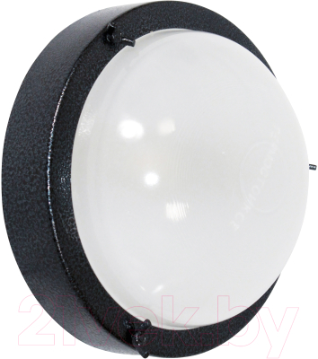 Светильник ЖКХ Элетех Терма-3 НББ 03-60-003 / 1005500583