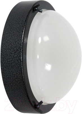 Светильник ЖКХ Элетех Терма-3 НББ 03-60-003 / 1005500583